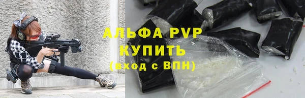 ГАЛЛЮЦИНОГЕННЫЕ ГРИБЫ Медвежьегорск