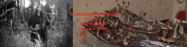 мескалин Медногорск