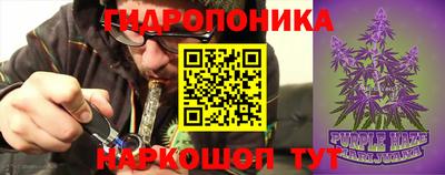 гидра Мариинск