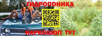гидра Мариинск
