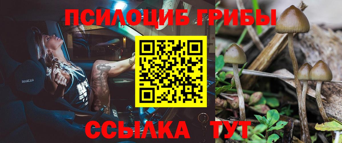 даркнет сайт  Вход с VPN  Галлюциногенные грибы Magic Shrooms  Саров  Галлюциногенные грибы мицелий 